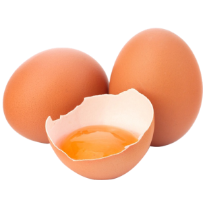 egg