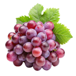 Fresh Fruits